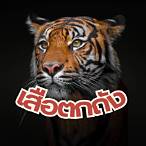 เสือตกถัง